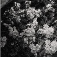 emptiness - EVERYTHING (electric guitar)