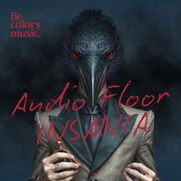 Audio Floor - Insania