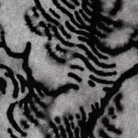 ReBis - Sans motif apparent