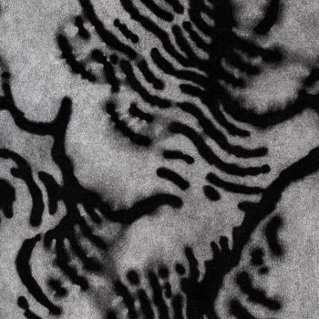 ReBis - Sans motif apparent