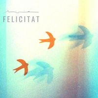 Mireia - Felicitat
