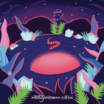tortuganónima - Asteral