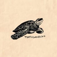 tortuganónima - tortuganónima