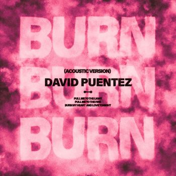 David Puentez - Burn (Acoustic Version)