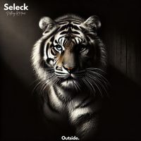 Seleck - Nothing left to fear