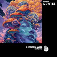 Cigarette & Juice - Elatirum