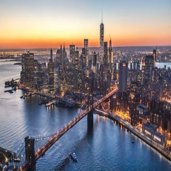 Jungle - glue