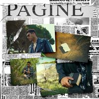 DIMA - Pagine