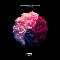Diego Narvaez & Dani Puente - Bonding