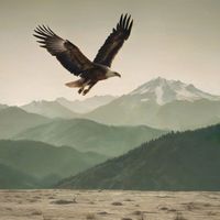 Epic Orchestra - Bird of Prey