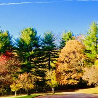 Ken Martin - Lift Each Other Up