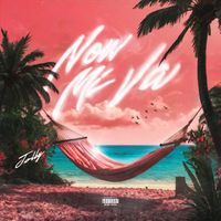 JOLLY - NON MI VA (Explicit)