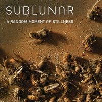 Sublunar - A Random Moment of Stillness