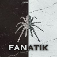 MARSS - Fanati̇k