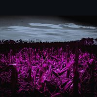 Dweeb - Where Nothin' Grows (Explosive Mix)