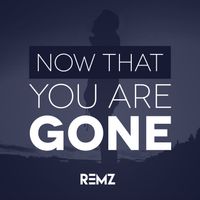 REMZ - Now That You Are Gone
