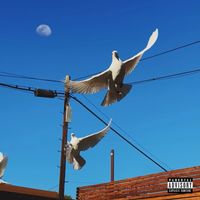 mgk - your name forever (Explicit)