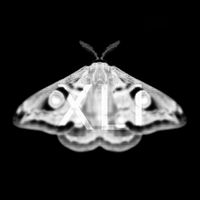 Martyn Hare - Emetic XLI