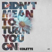 Colette - Didn't Mean To Turn You On, Pt. 2