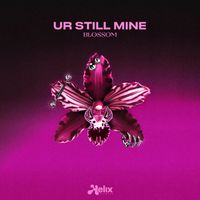 Blossom - Ur Still Mine