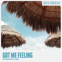 Nothing But Funk - Got Me Feeling