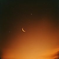 Miro - Delight