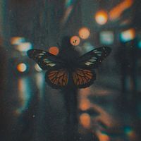 SouthFM - The Drifter