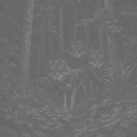 Allicorn - Running From Wolves