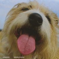 Songdog - Mirabilia Mundi