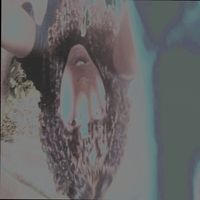 V3 - FLASHLIGHTS (Explicit)