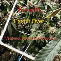 Kenyatta - Past It Over
