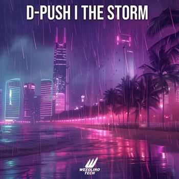 D-Push - The Storm