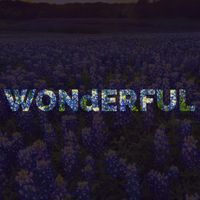 d - WONdERFUL