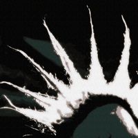 Sander - PARANOiA (Explicit)