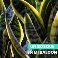 Eduardo Bravo - Un Bosque En Mi Balcón