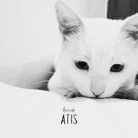 Lester Paredes - Querido Atis (Explicit)