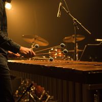 marine - Marimba Sizzle