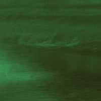 Tommy Lewis - Jungle Temptations