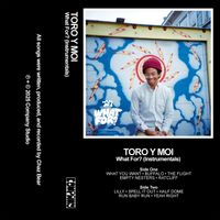 Toro y Moi - What For? (Instrumentals)