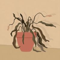 Blurred - Dead Plants