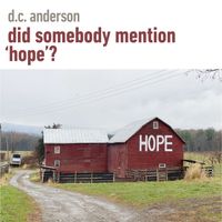D.C. Anderson - Did Somebody Mention Hope?