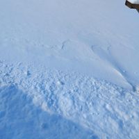 Daniel Santana - SIN TI NO ME VEO (Explicit)