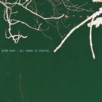 Afem Syko - All Chaos Is Digital