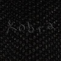 BVSIS - Kobra