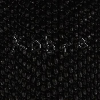 BVSIS - Kobra