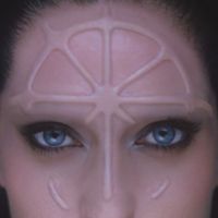 Gaia - rosa dei venti