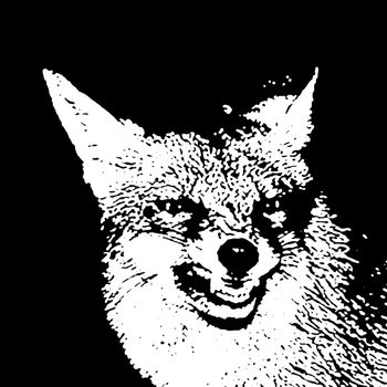 Fox - Fox