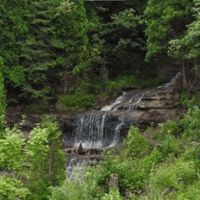 Leviathan - im not afriad