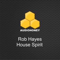 Rob Hayes - House Spirit