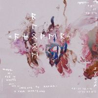 sue:ann - Another Bloom